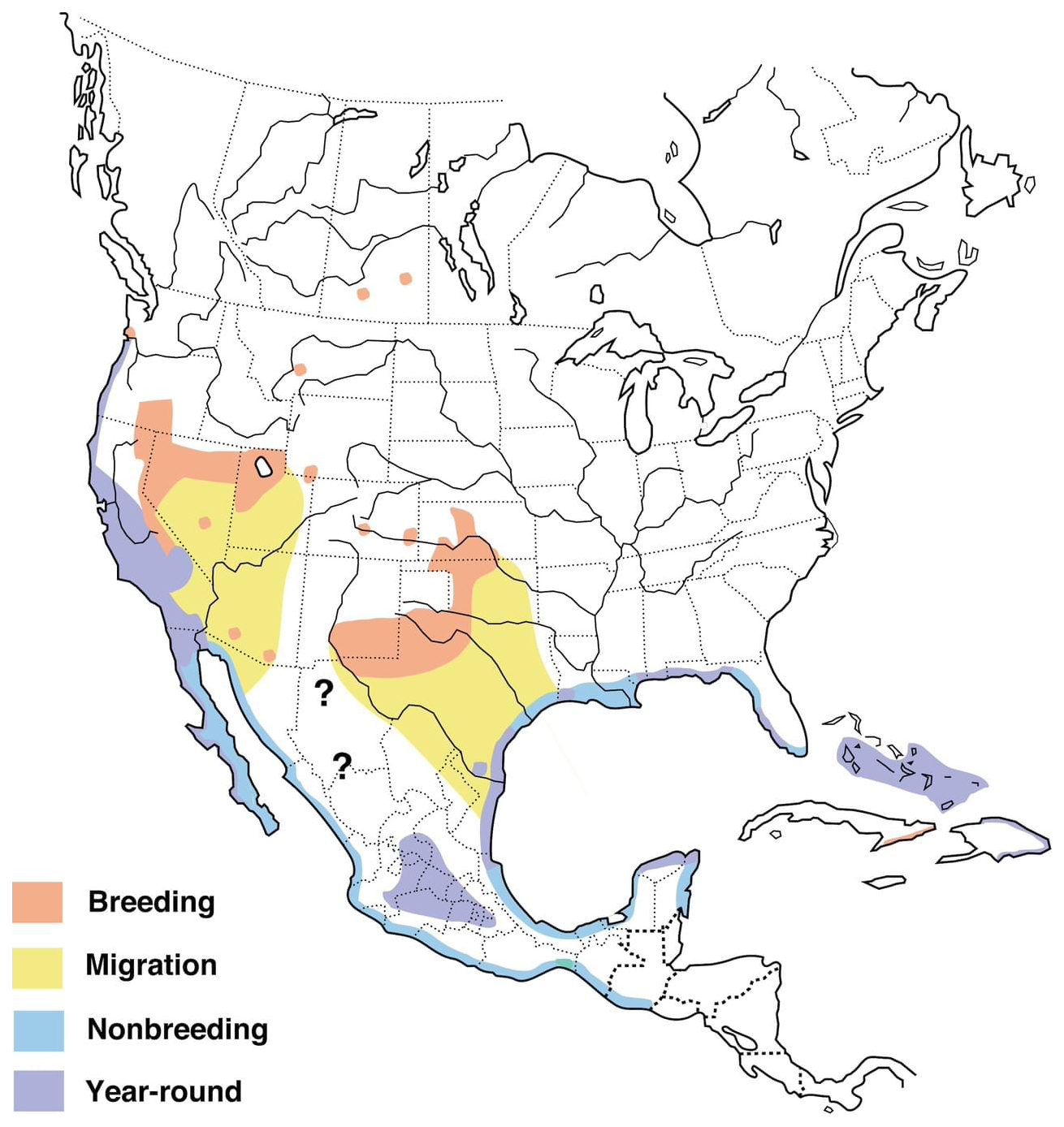 Snowy Plover Range